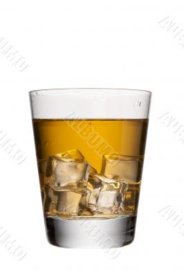 glass of whiskey with ice cube 