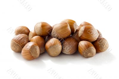 hazelnut hazelnut