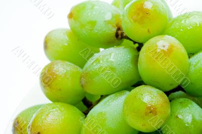 Closeup Bundle of Grapes
