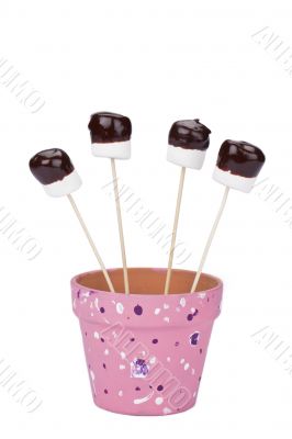 set up marshmallows pierced on stick on a pink pot