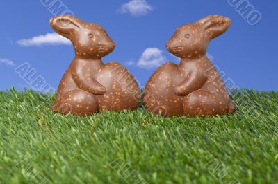 two chocolate bunny candies lying on the grass