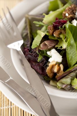 cropped image of a plate with salad