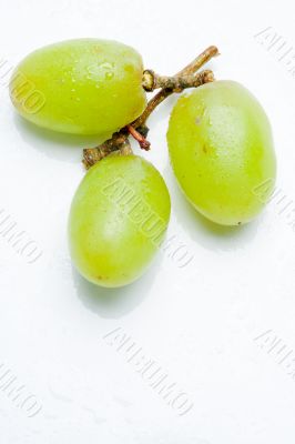 three green grapes three green grapes