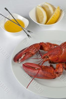 delicious lobster in plate