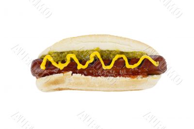hotdog sandwich with mustard sauce