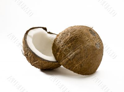 split coconut