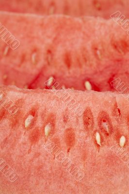 closeup watermelon closeup watermelon