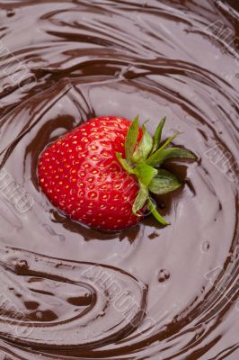 strawberry dipped on chocolate strawberry dipped on chocolate