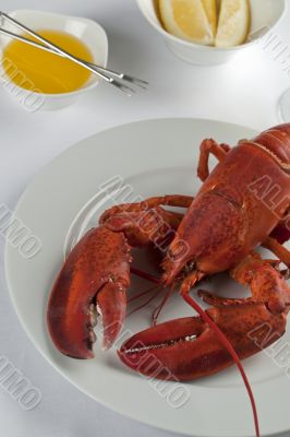 cropped image of plate with cooked lobster