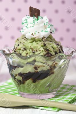 closed up mint chocolate chip ice cream with whipped cream and syrup