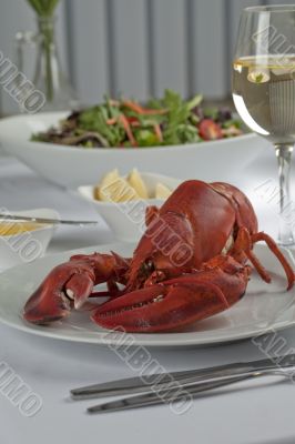 a plate with a lobster meal 