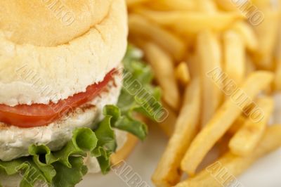 macro image of hamburger and fries 