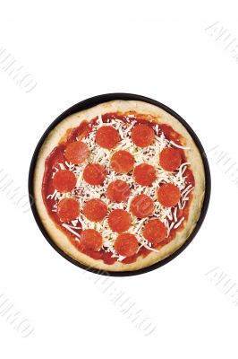 delicious pizza delicious pizza