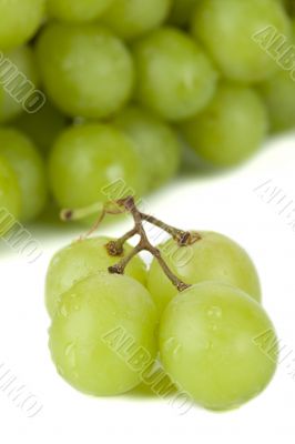 juicy green grape fruits