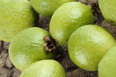 cropped image of guava