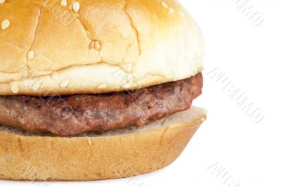 macro image of hamburger