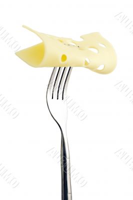 cheese in fork