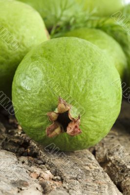 guava