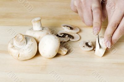 slicing white mushroom