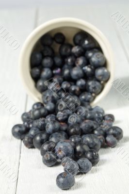 berry fruits