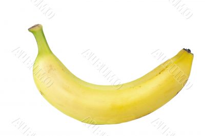 ripe banana