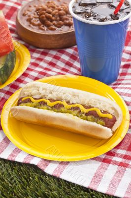 hotdog sandwich in picnic