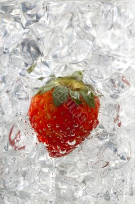 image of strawberry on ice cubes