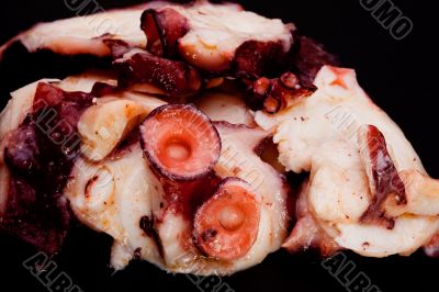 Octopus slices