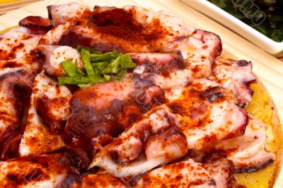 Octopus slices