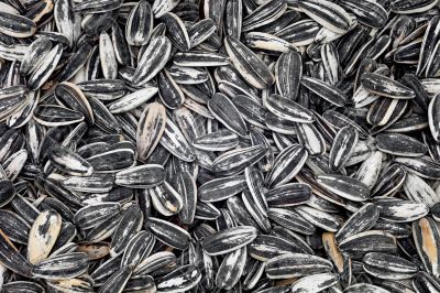 Sunflower seeds 