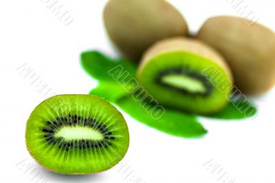 Kiwi fruit