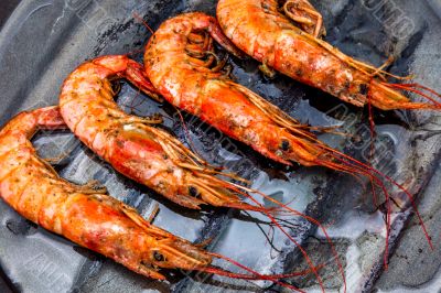 Shrimp grilled