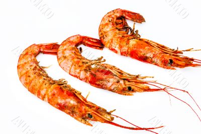 Shrimp grilled