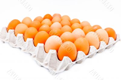 Egg in a carton
