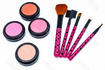 Brushes and cosmetic