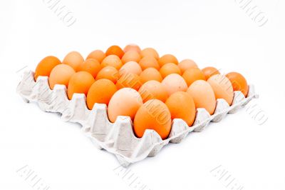 Egg in a carton