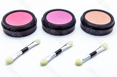 Brushes and cosmetic