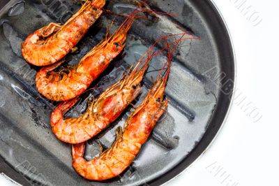 Shrimp grilled