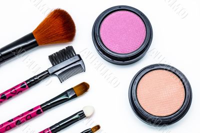 Brushes and cosmetic