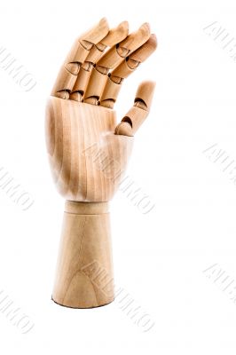Wooden hand