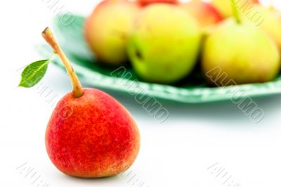 Little pears Little pears
