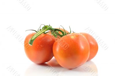 Sprig and tomato on a white background