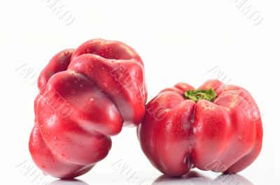 Bulgarian pepper