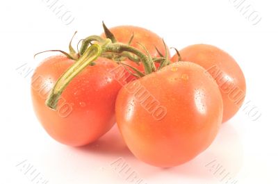 Sprig and tomato on a white background Sprig and tomato on a white background