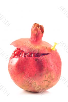 Red pomegranate on a white background Red pomegranate on a white background
