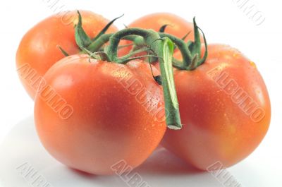 Sprig and tomato on a white background Sprig and tomato on a white background