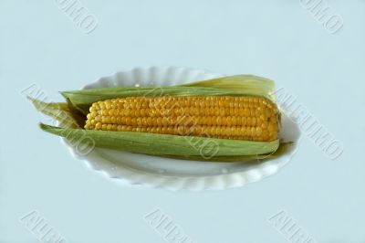 ear of corn ear of corn