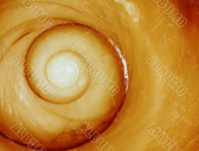 Spiral on the maroon stone