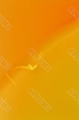 Spiderweb in a sunbeam