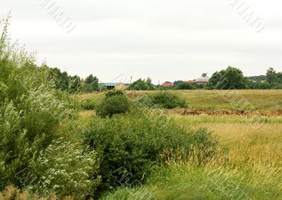 Rural landscape